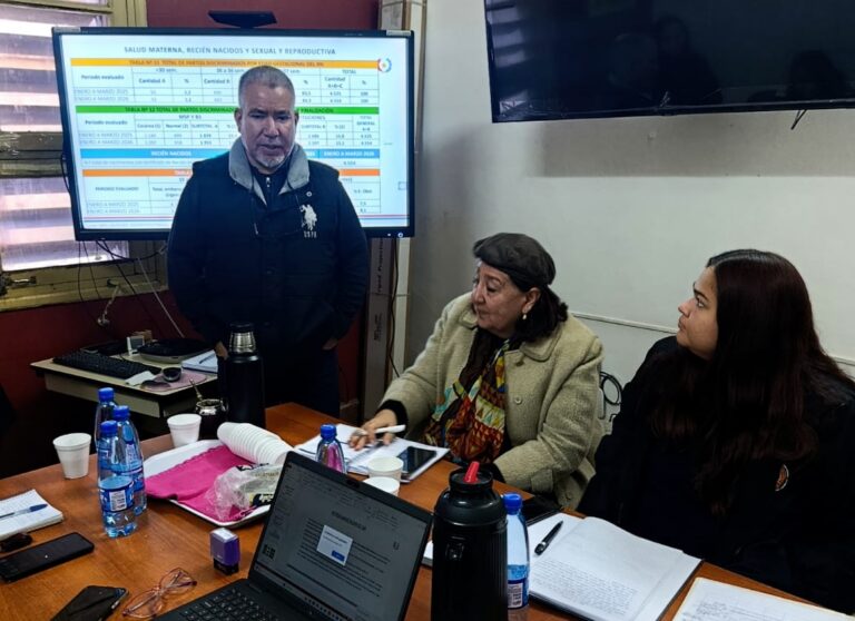 Capital: trabajan para mejorar vigilancia de la mortalidad materna y neonatal