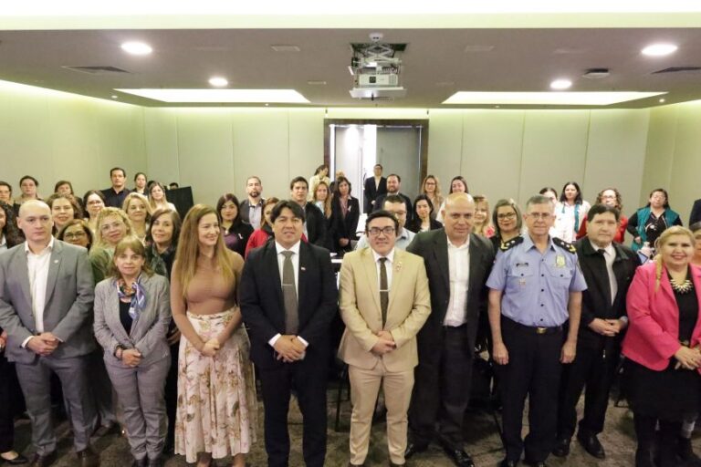 DIGIES aporta criterios técnicos para implementación de las RIISS